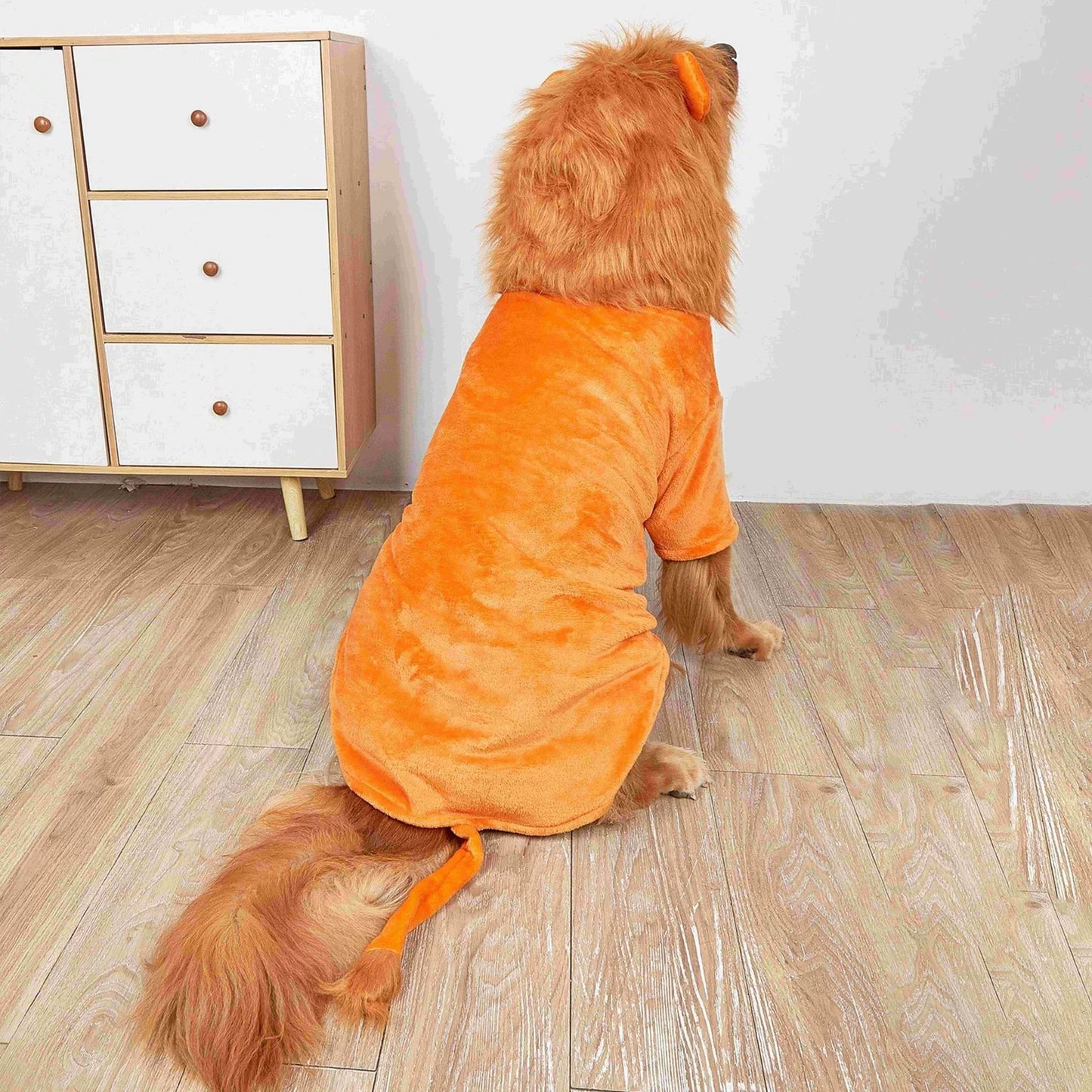 Pet Clothes Cartoon Lion Pet Costume Hooded Sweatshirt Funny Dog Clothes Medium Large Dog Dress up Pet Clothing