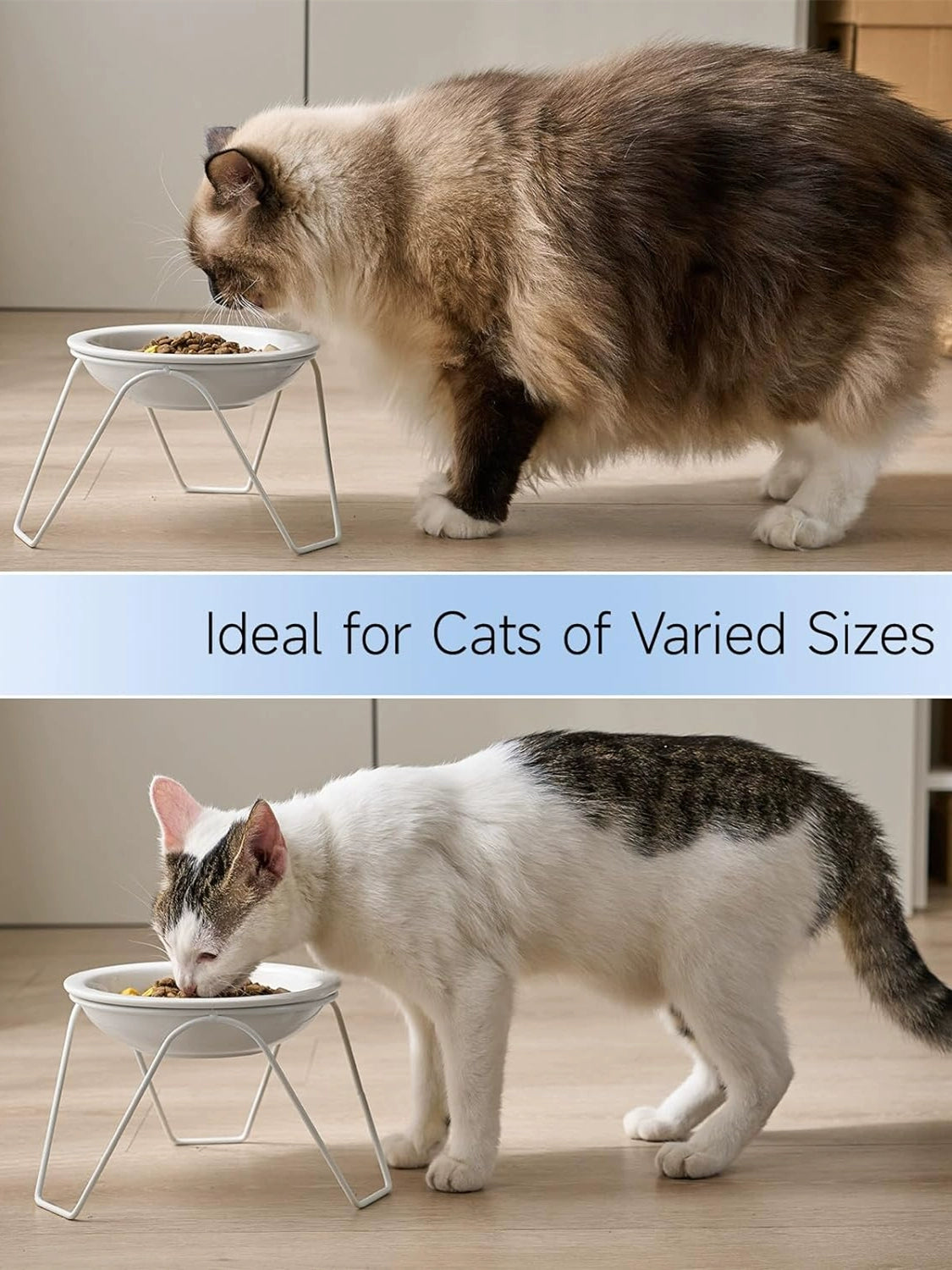 High Foot Cat Bowl Ceramic Cat Food Holder Not Easy to Knock over Large Diameter Cat Food Bowl Cat Water Bowl Double Bowl Neck Protection Pet Bowl