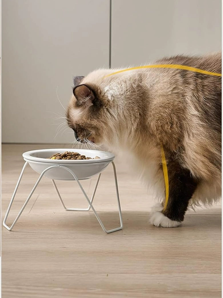 High Foot Cat Bowl Ceramic Cat Food Holder Not Easy to Knock over Large Diameter Cat Food Bowl Cat Water Bowl Double Bowl Neck Protection Pet Bowl