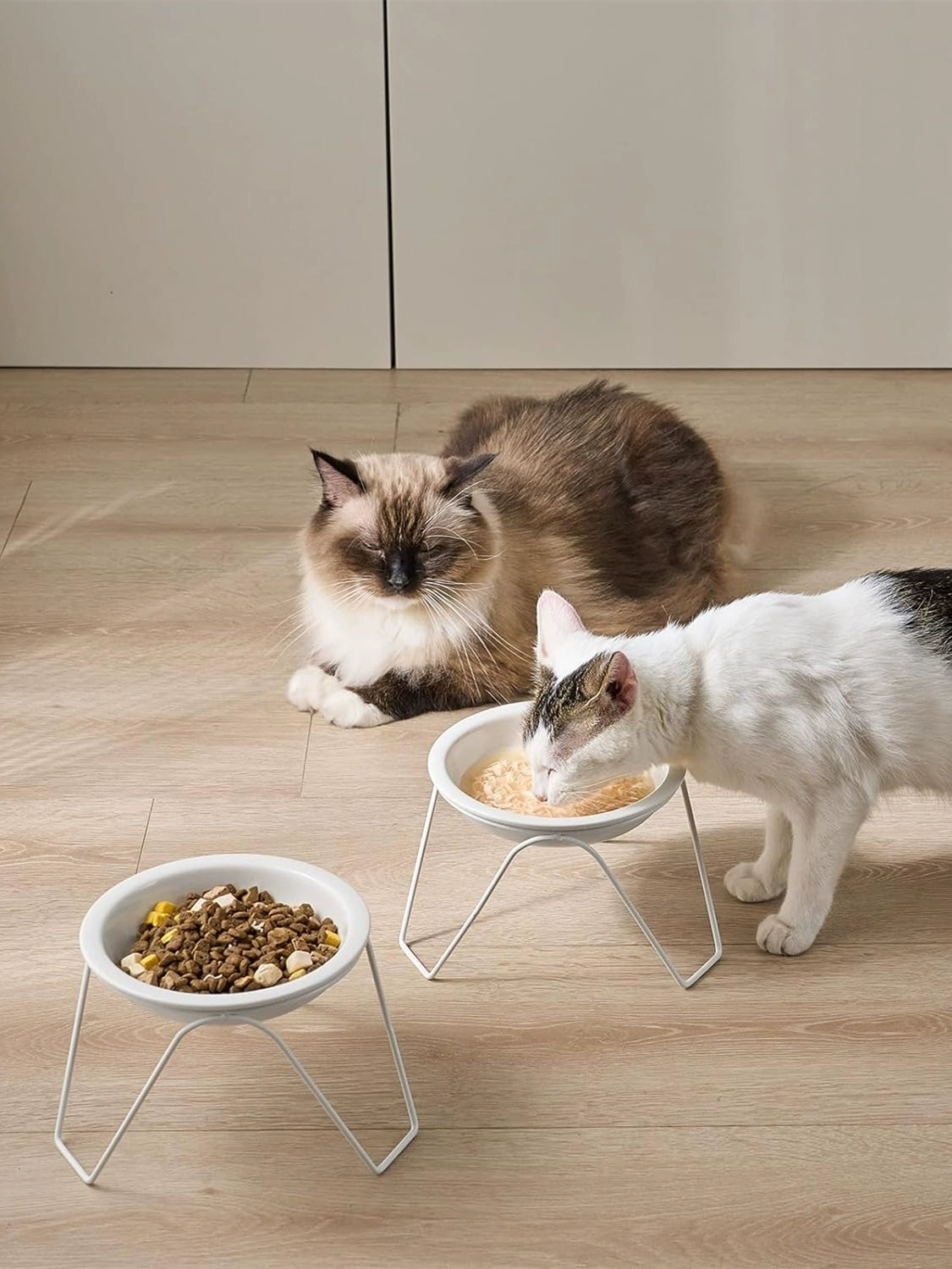 High Foot Cat Bowl Ceramic Cat Food Holder Not Easy to Knock over Large Diameter Cat Food Bowl Cat Water Bowl Double Bowl Neck Protection Pet Bowl