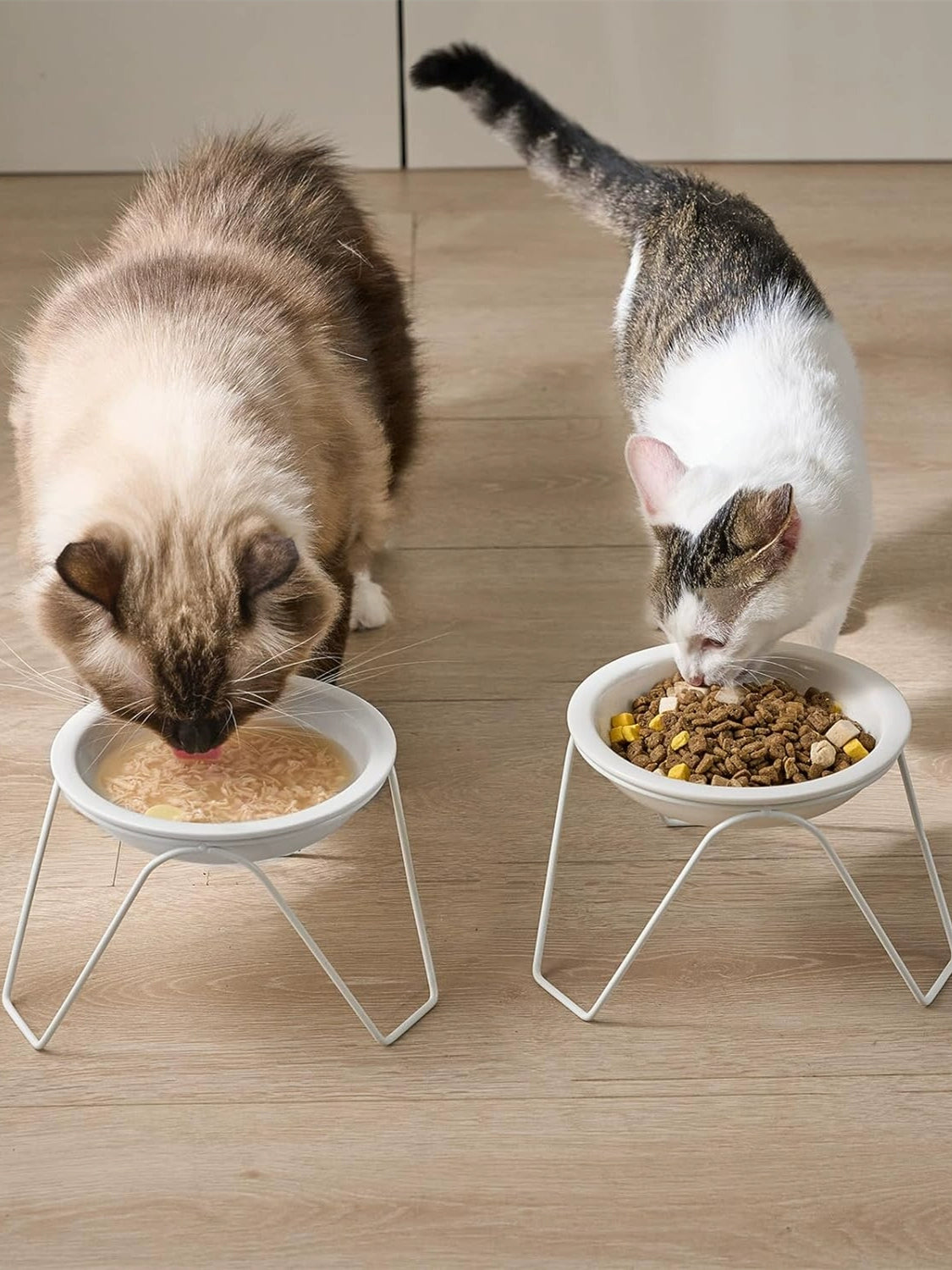 High Foot Cat Bowl Ceramic Cat Food Holder Not Easy to Knock over Large Diameter Cat Food Bowl Cat Water Bowl Double Bowl Neck Protection Pet Bowl