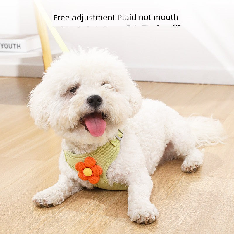 Pipi Taopetal Chest Strap Pet Hand Holding Rope Cat Puppy Dog Leash Traction Supplies Dog Traction