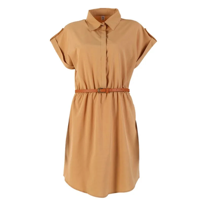 Maternity Clothings Women Ladies Dresses A Line Chiffon Casual OL Dress With Belt Women's Clothing