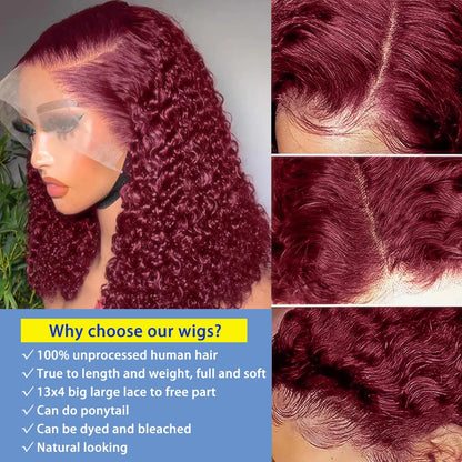 250% Density HD 13x4 Lace Jerry Curly Bob Wig Burgundy 99J Human Hair Wig 100% Remy Human Hair Dark Brown Chocolate Color #4