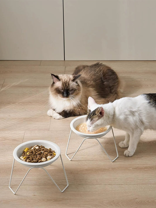High Foot Cat Bowl Ceramic Cat Food Holder Not Easy to Knock over Large Diameter Cat Food Bowl Cat Water Bowl Double Bowl Neck Protection Pet Bowl